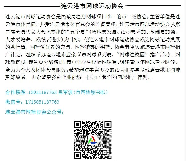 网球比赛中裁判员的常用语_网球裁判竞赛的裁判人员组成_网球项目比赛裁判个人总结