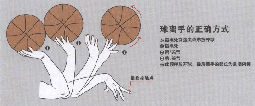 篮球投球时手拿球的动作_投篮球拿位置手时手腕疼_投篮时手的拿球位置