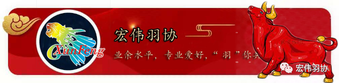 羽毛球混双比赛战术解析：男选手主导与女选手辅助的完美配合