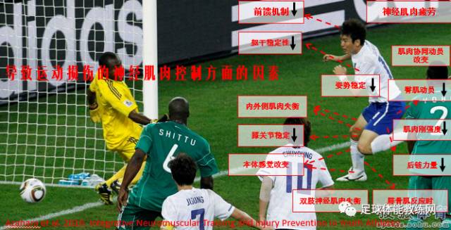 2024年欧洲杯与奥运会：伤病潮解决方案与足球发展趋势
