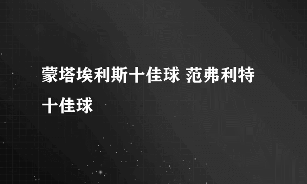 蒙塔埃利斯十佳球 范弗利特十佳球