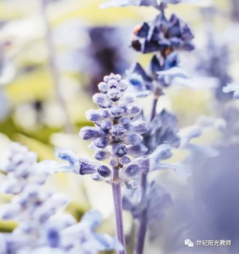 2012-2018年教师资格证考试作文真题汇总及解析，助你轻松应对教育写作