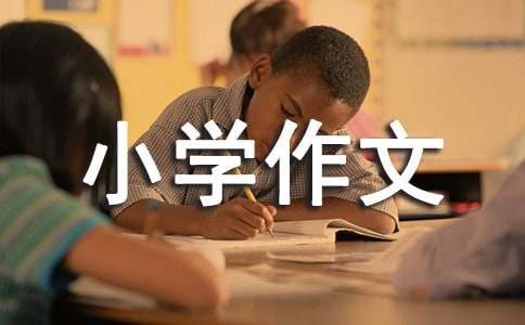 如何在小学接力赛中取得胜利：观察力、联想力与策略的重要性