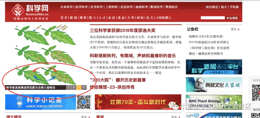 西花蓟马全球入侵格局与综合防控策略研究：中国农业科学院高玉林研究员特邀文章解析