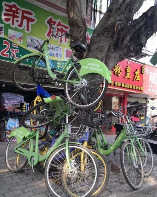 广西南宁头条_南宁校园头条微博_南宁微博头条