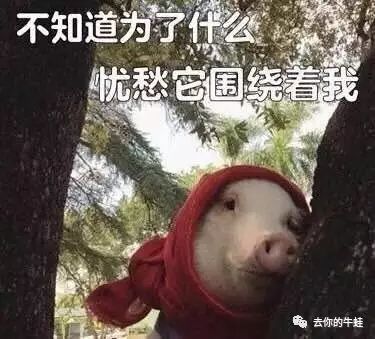 头条号_头条号注册入口_头条号和今日头条的区别