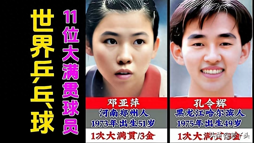樊振东加入中国乒乓球大满贯队伍，世界大满贯球员增至11人