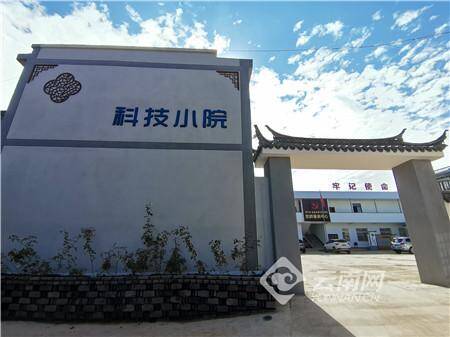 云南昆明晋宁新闻头条，昆明晋宁：“红色动能”助乡村振兴走上快车道