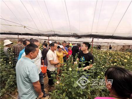 云南昆明晋宁新闻头条，昆明晋宁：“红色动能”助乡村振兴走上快车道