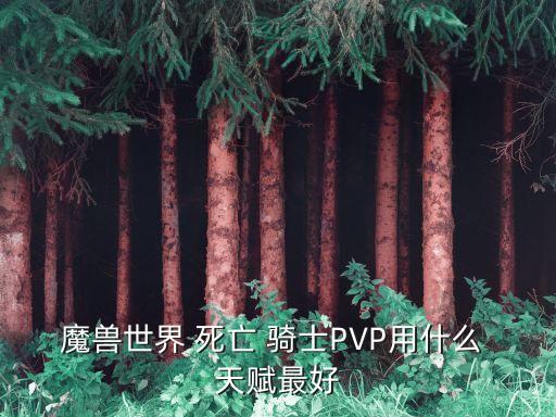 魔兽世界 死亡 骑士PVP用什么 天赋最好