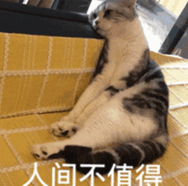 英雄联盟职业联赛视频_lol职业联赛精彩集锦_英雄联盟职业联赛视频下载