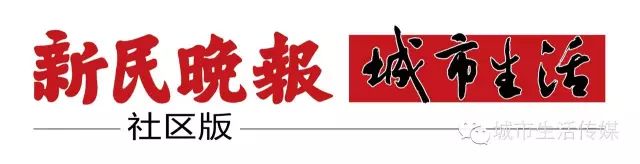 揭秘中国反传销志愿者联盟：民间反传销组织背后的真相与诈骗内幕