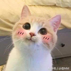 为什么比赛没人用暴走萝莉_为什么比赛没人用暴走萝莉_为什么比赛没人用暴走萝莉