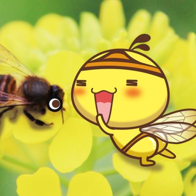 如何优化球队阵容：持球进攻球员与防守高手的完美搭配