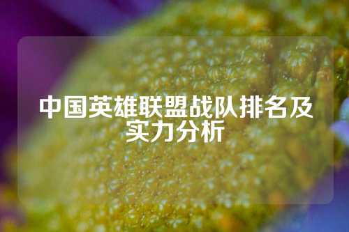 中国英雄联盟战队排名及实力分析
