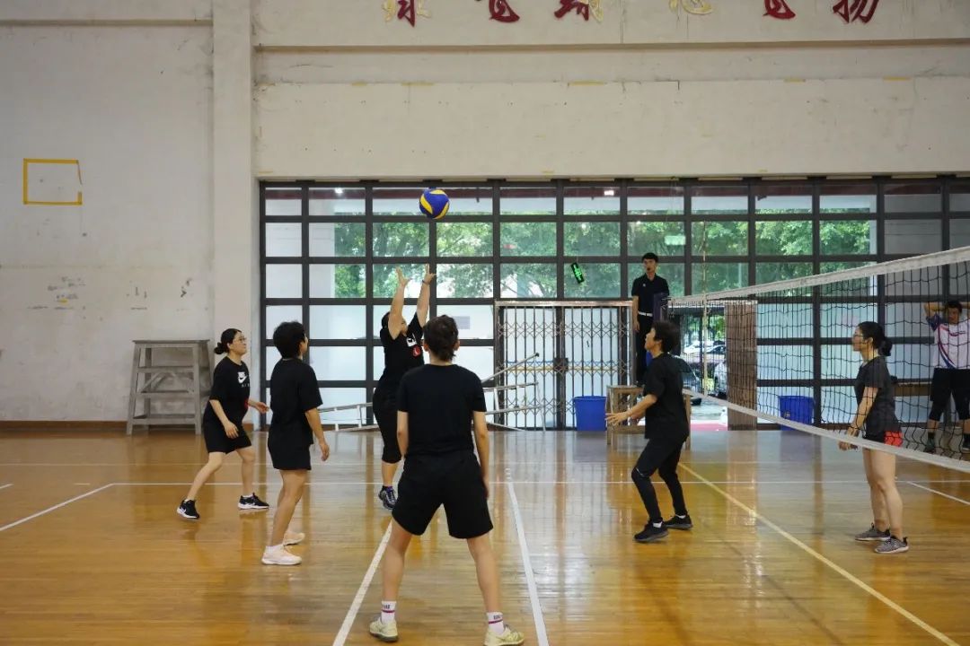 排球专用气球比赛规则_气排球正规比赛用球_气排球比赛专用球