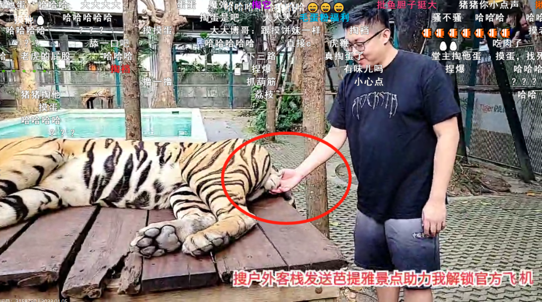 打拳的比赛节目_表演打拳的节目名称_哪几个节目有拳打比赛