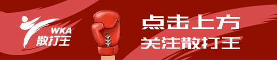 武术散打规则裁判全解析：竞赛性质、办法、得分等