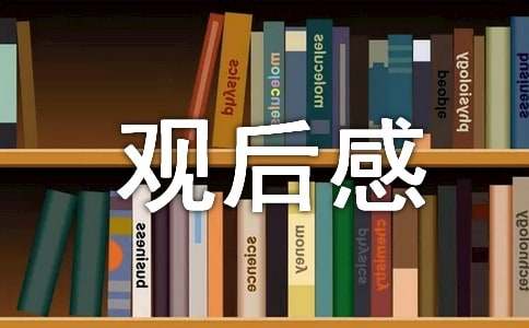 《最强大脑》观后感