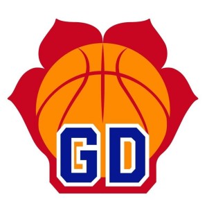 GDBA (Guangdong Basketball Association):广东篮球盛会,业余最高水平的省级联赛