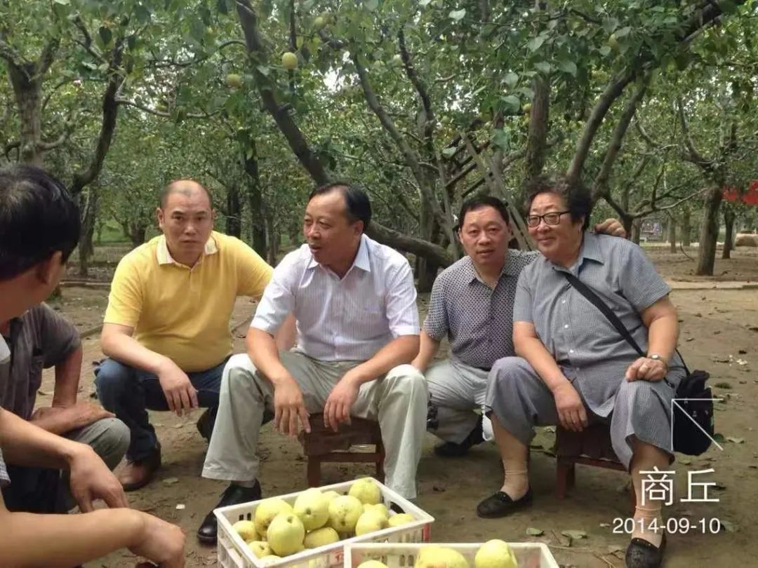 奇迹暖暖联盟的委托2—7_奇迹暖暖联盟委托_奇迹暖暖的联盟委托分怎么看