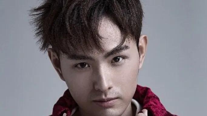 魔术失误切人是什么电影_魔术失误切人是什么原因_魔术失误把人切了是真的吗