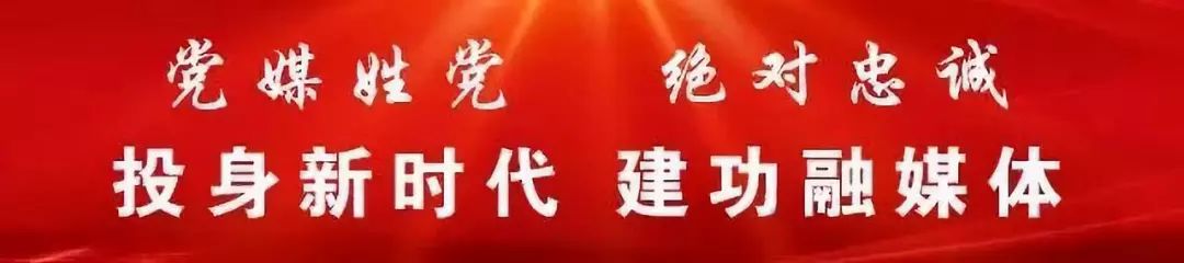 气排球气排球_气排球比赛专用球_气排球正规比赛用球