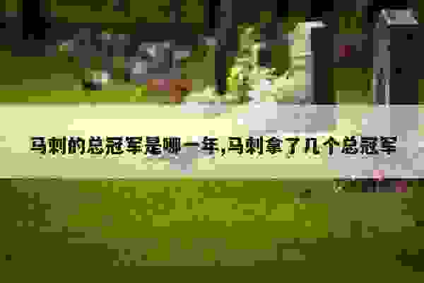 马刺队历年NBA总冠军盘点：1999、2003、2005、2007、2014年五次夺冠全记录