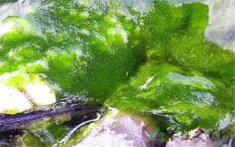 亚盘规律_亚盘让球盘基础知识_亚盘让球规则