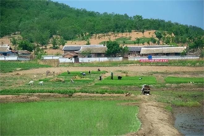 朝鲜民众真实生活_朝鲜真实情况_朝鲜城市建设现状