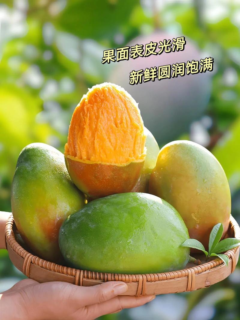 凯特芒果怎么判断成熟时间，青芒果硬的能直接吃吗