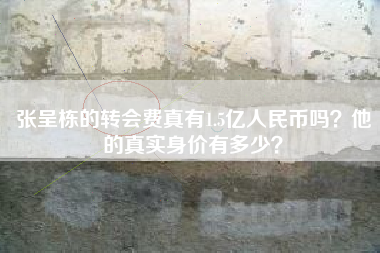 张呈栋1.5亿转会费真相_张呈栋真实身价分析_张呈栋转会费